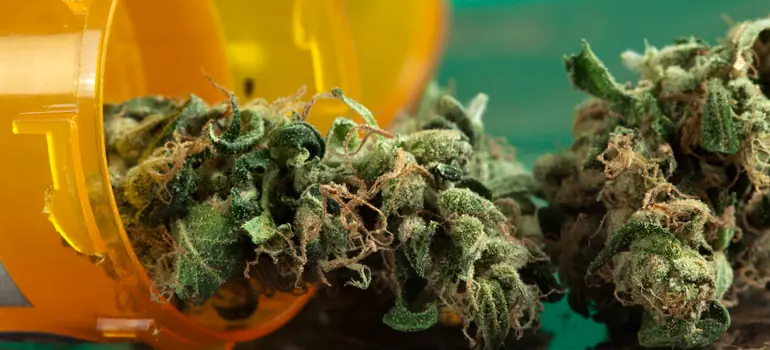 marijuana-9-8-17.png