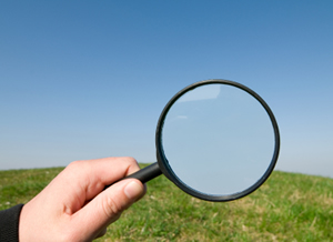magnifying.jpg